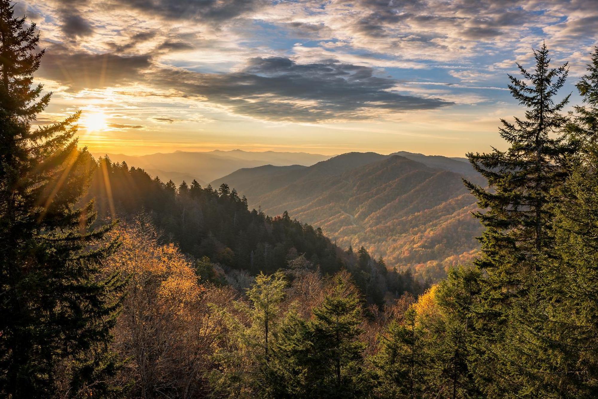 Pine Tree Lodge Гатлінбург Екстер'єр фото